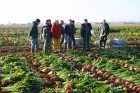 Visite des essais