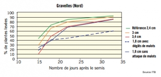 Graphique impact profondeur semis